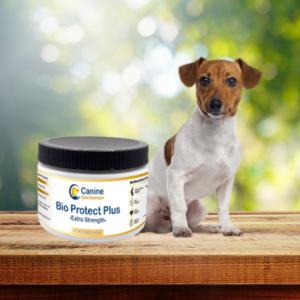 Bio Protect Plus - First & Only Vet-Formulated Dog Supplement - The Top Vet-Recommended Dog Supplement