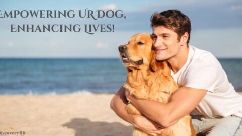 Dog Training Products and Services, Dog Health Supplements, Dog Wellness & Behavior, dogs, pets and animals, farmer's dog food, dog food, best dog food, chewy dog food, dog training