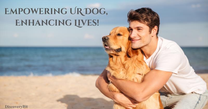 Dog Training Products and Services, Dog Health Supplements, Dog Wellness & Behavior, dogs, pets and animals, farmer's dog food, dog food, best dog food, chewy dog food, dog training